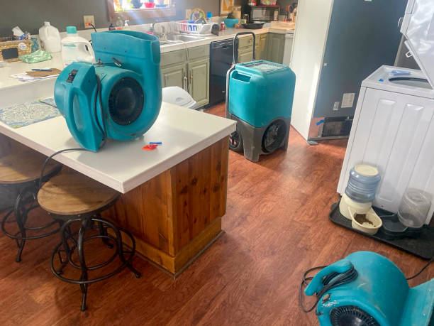 Best Mold removal after water damage  in Verde Village, AZ