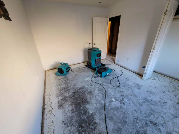 Best Water damage contractors near me  in Verde Village, AZ