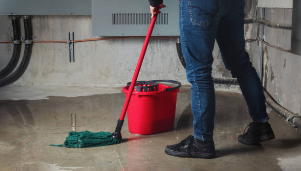 Best Flooded house restoration  in Verde Village, AZ