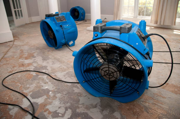 Best Flood restoration services  in Verde Village, AZ