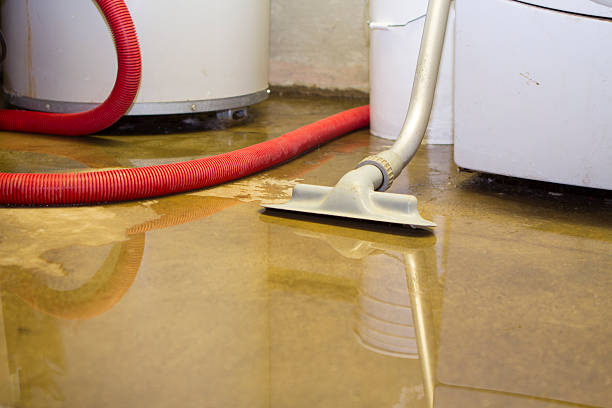 Best Sewage cleanup and water damage restoration  in Verde Village, AZ