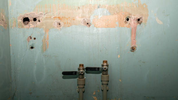 Best Sewage cleanup and water damage restoration  in Verde Village, AZ