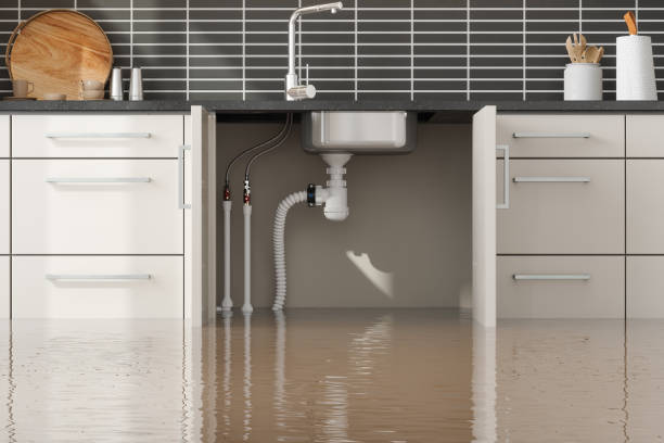 Best Water damage cleanup near me  in Verde Village, AZ