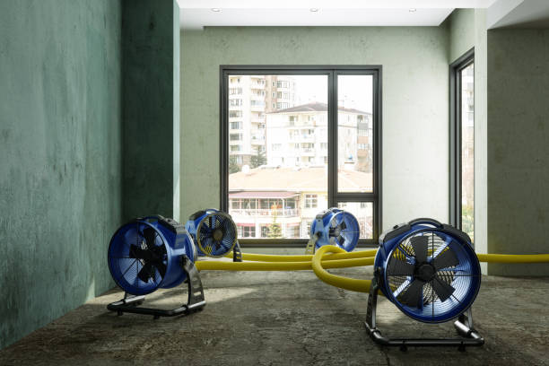 Best 24-hour water damage restoration  in Verde Village, AZ