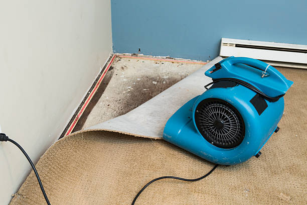 Best Basement water damage restoration  in Verde Village, AZ